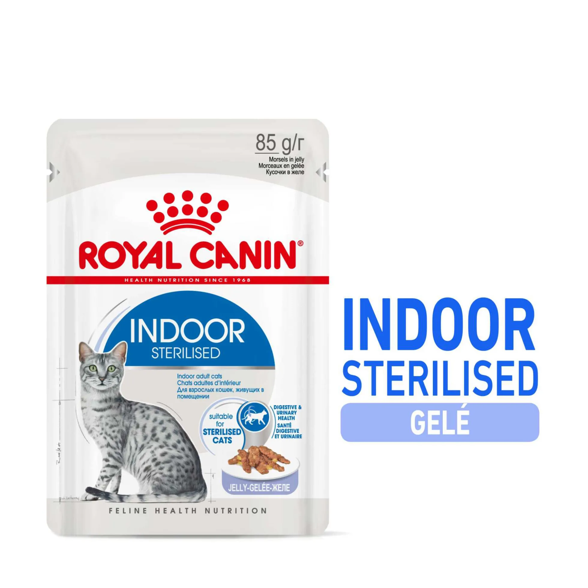 Royal Canin Indoor Jelly