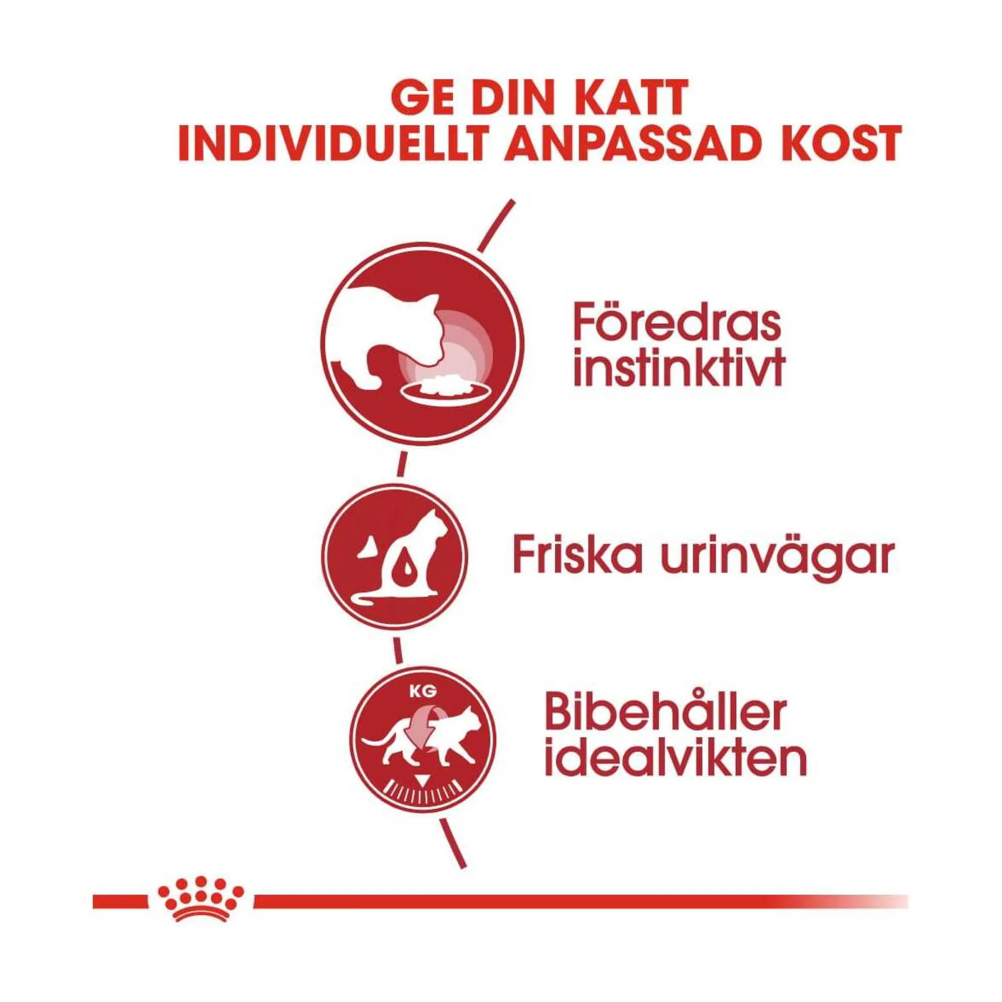 Royal Canin Instinctive Jelly