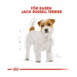 Royal Canin Jack Russell Adult