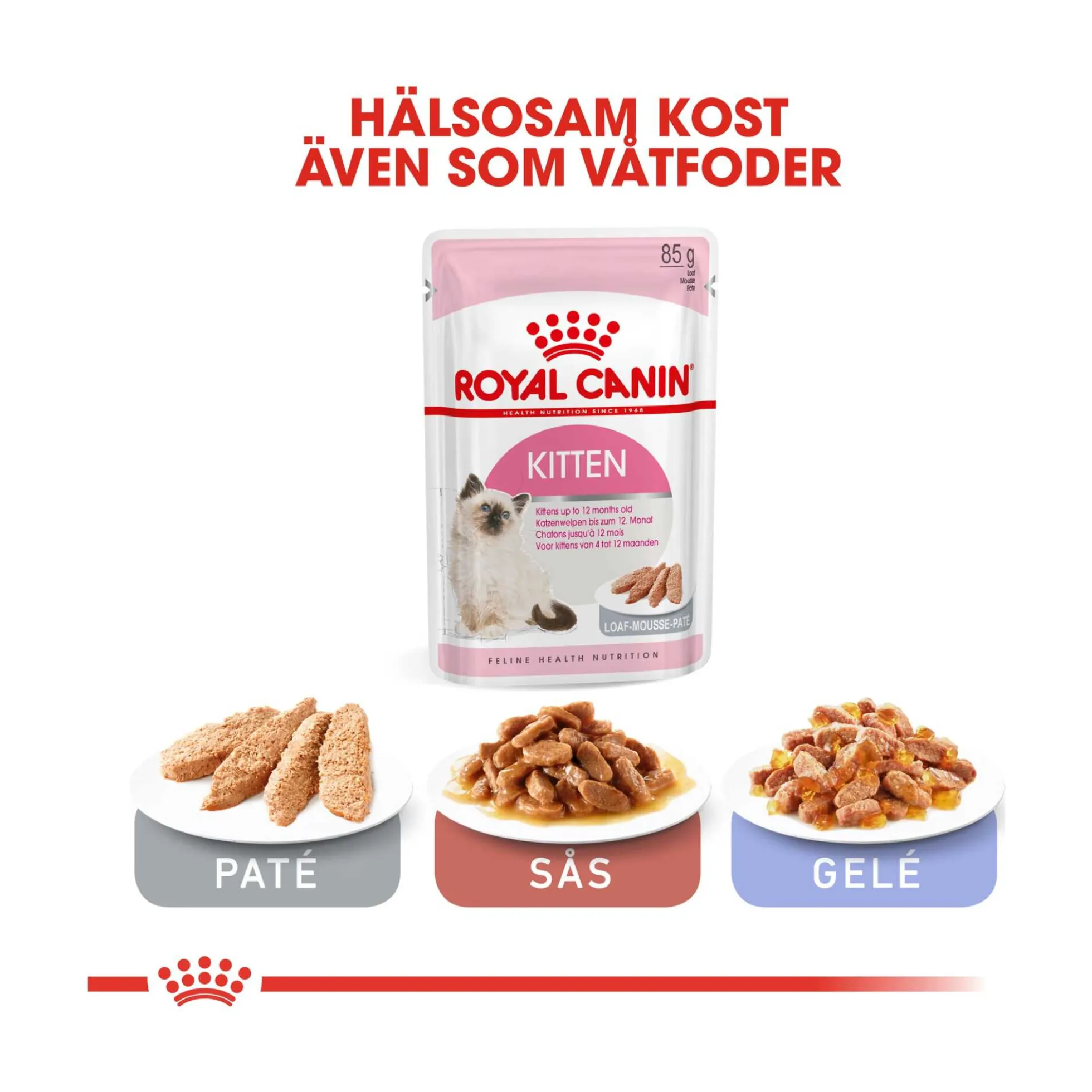 Royal Canin Kitten