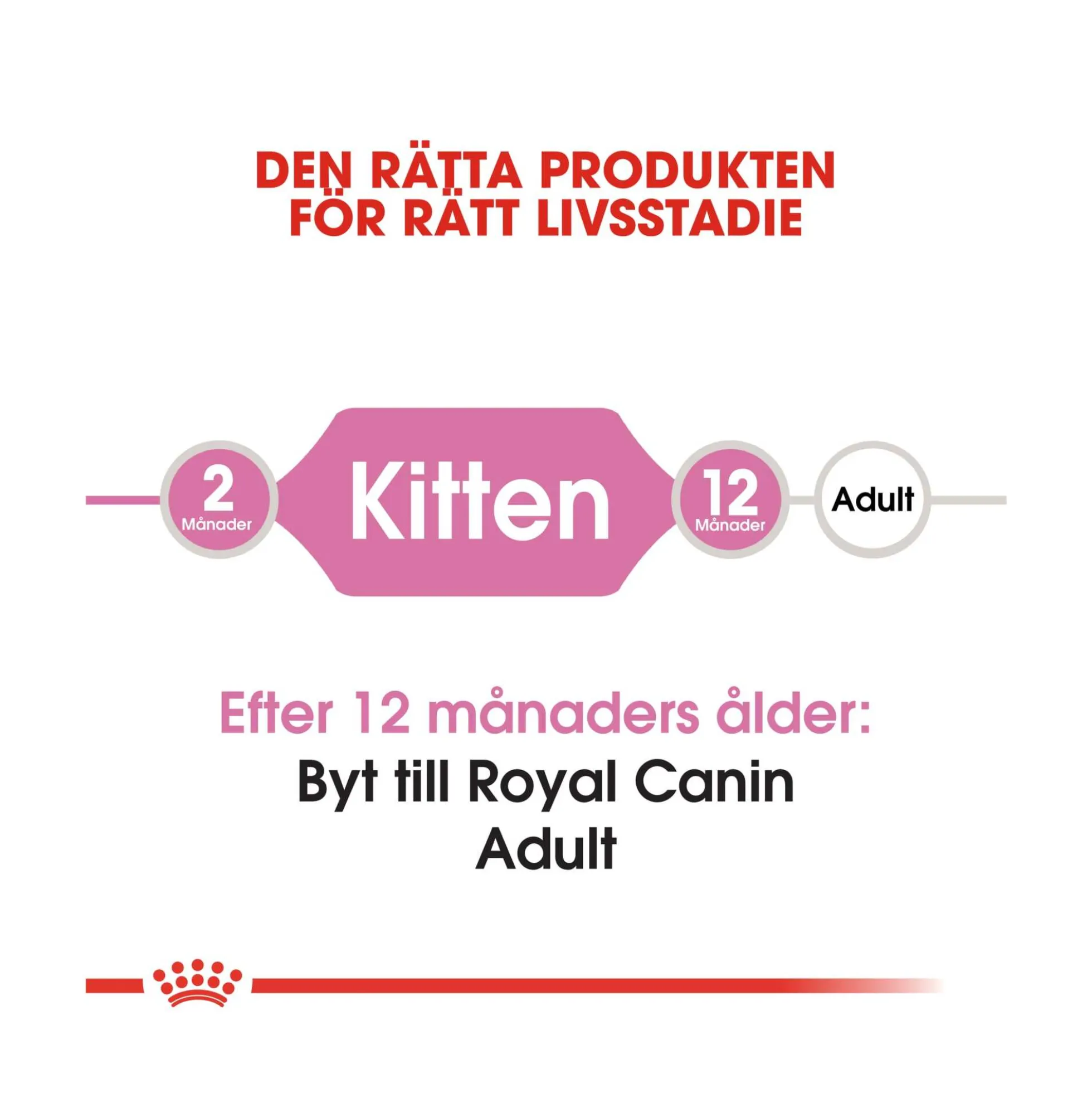 Royal Canin Kitten