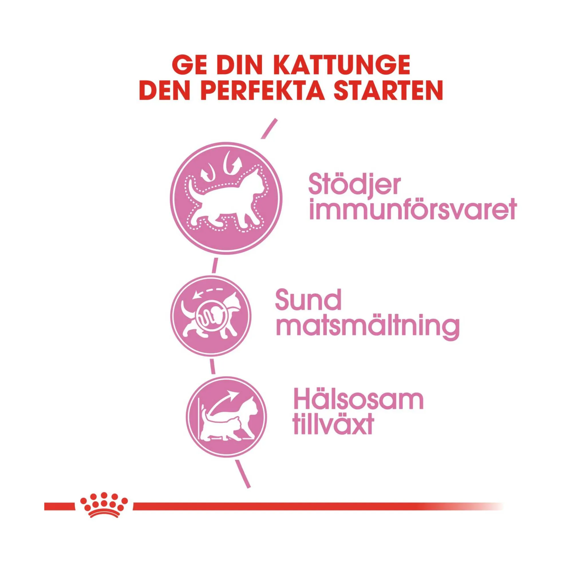 Royal Canin Kitten