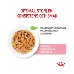Royal Canin Kitten Jelly