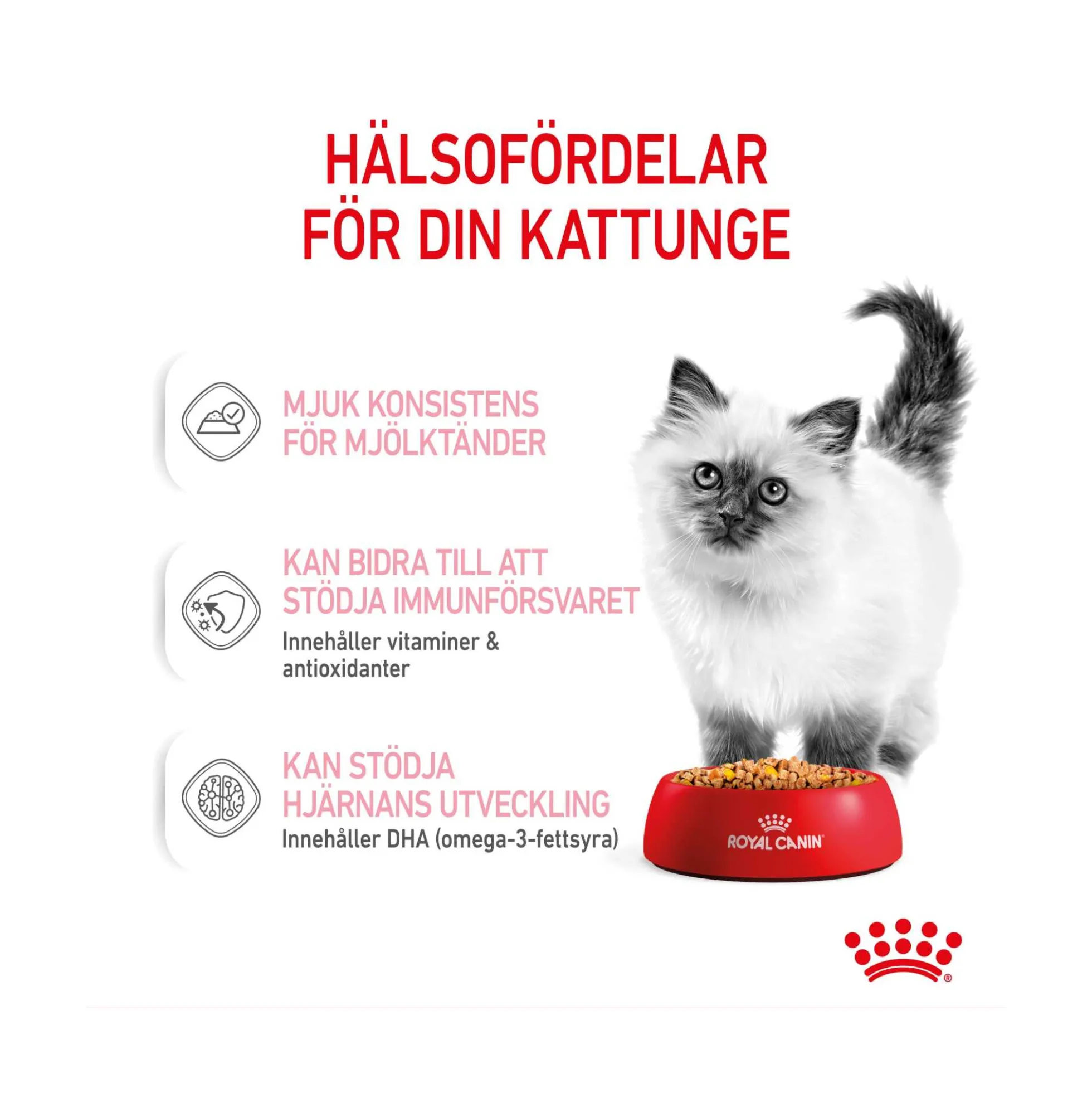 Royal Canin Kitten Jelly
