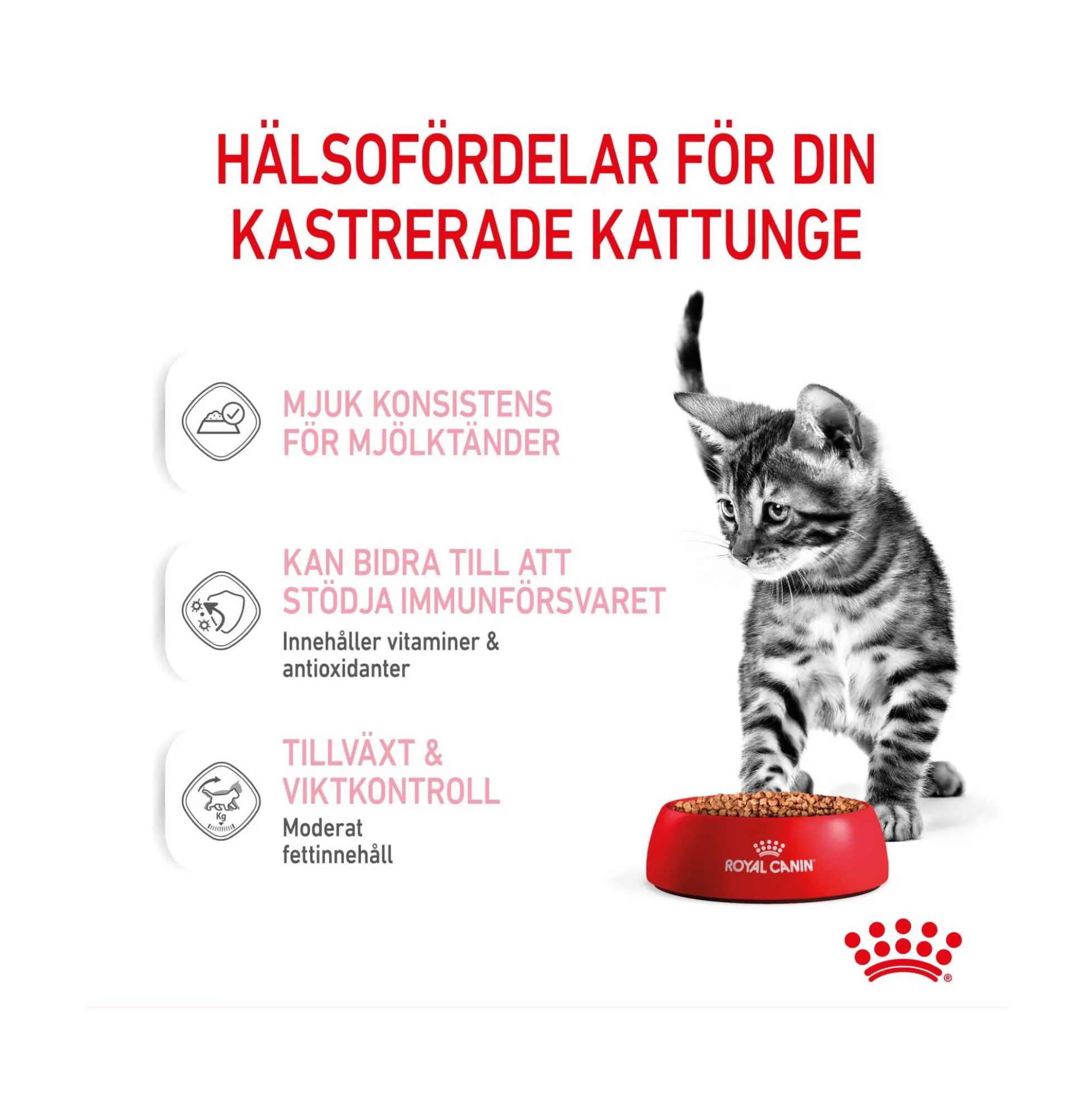 Royal Canin Kitten Sterilised Gravy
