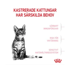 Royal Canin Kitten Sterilised