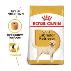 Royal Canin Labrador Retriever Adult