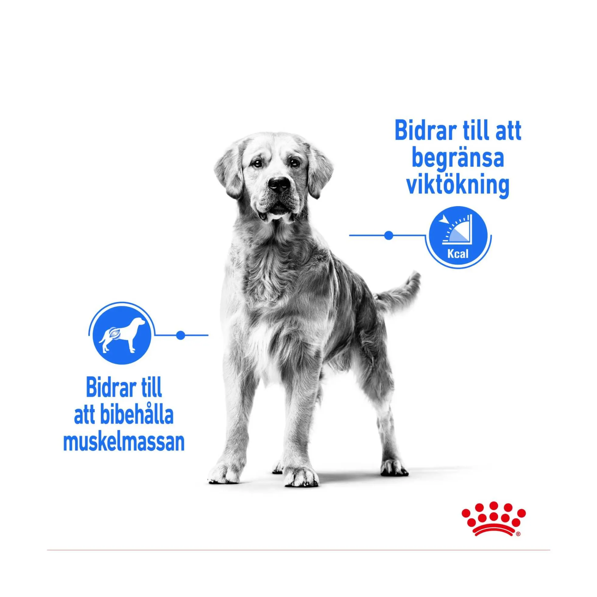 Royal Canin Light Weight Care Maxi