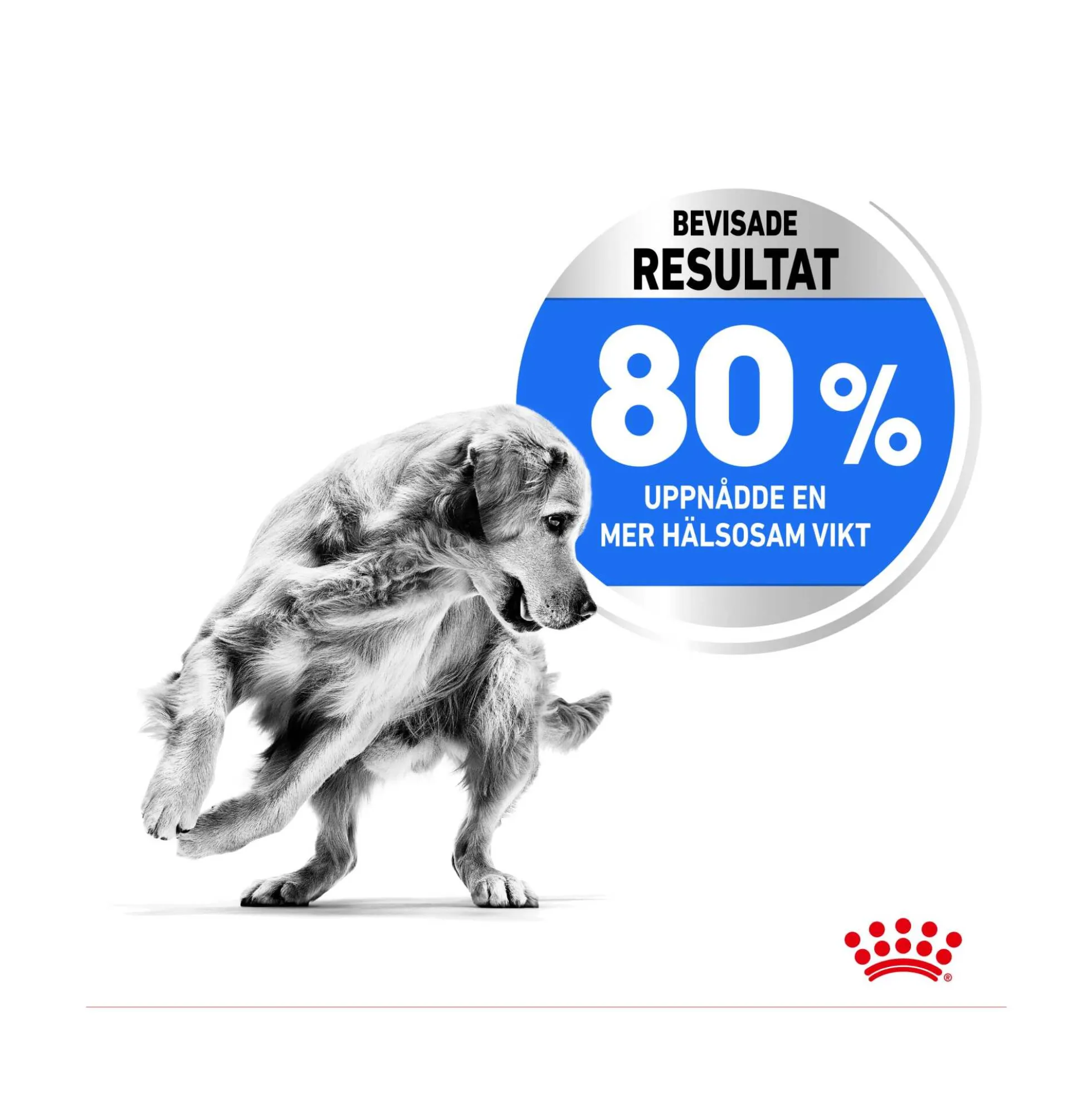 Royal Canin Light Weight Care Medium