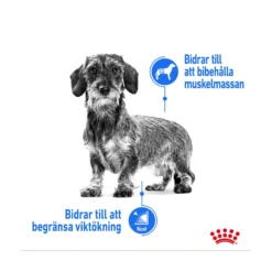 Royal Canin Light Weight Care X-Small
