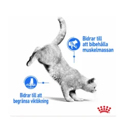 Royal Canin Light Weight Gravy