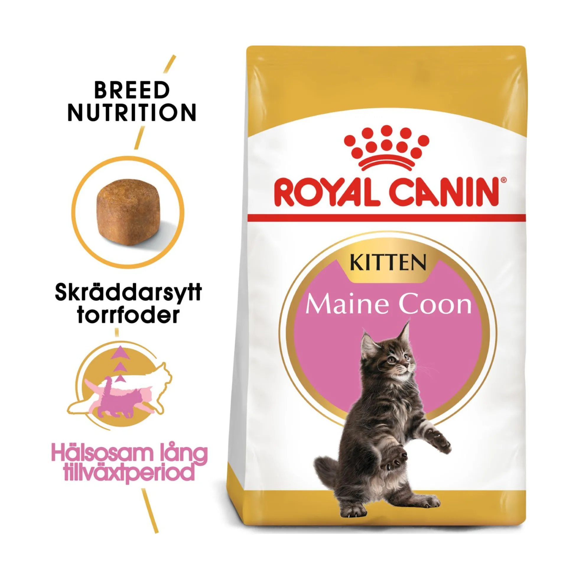 Royal Canin Maine Coon Kitten