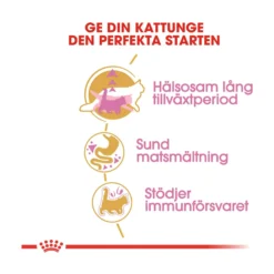Royal Canin Maine Coon Kitten