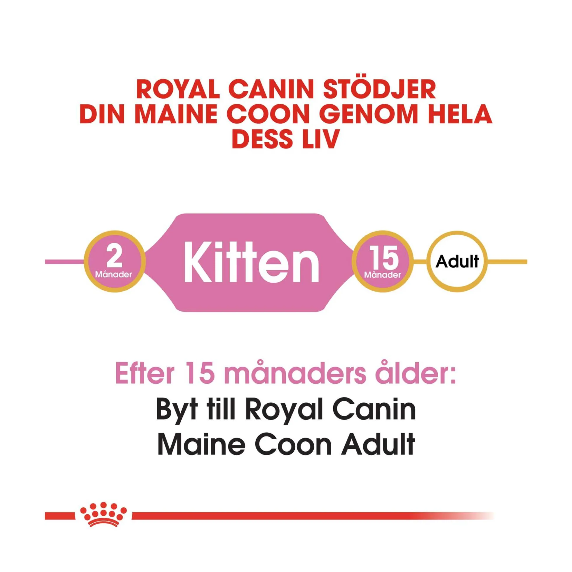 Royal Canin Maine Coon Kitten