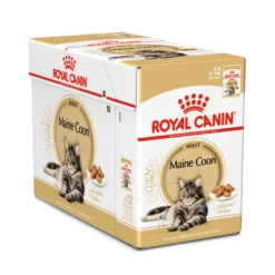 Royal Canin Maine Coon Wet