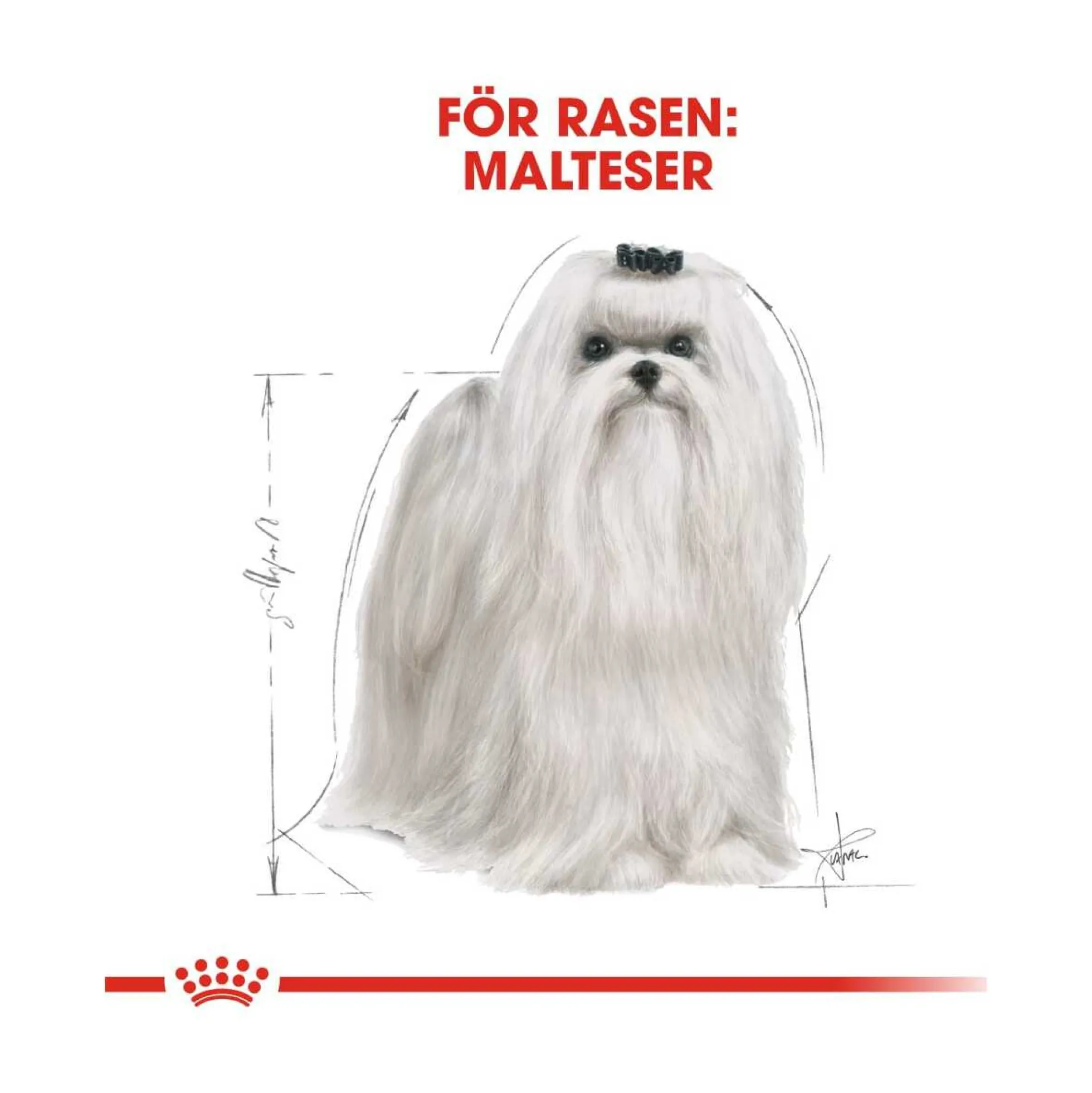 Royal Canin Maltese Adult