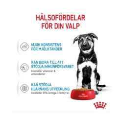 Royal Canin Maxi Puppy Wet