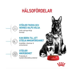Royal Canin Maxi Starter Mother & Babydog