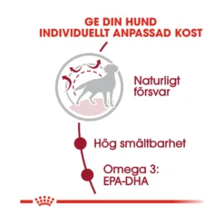 Royal Canin Medium Adult