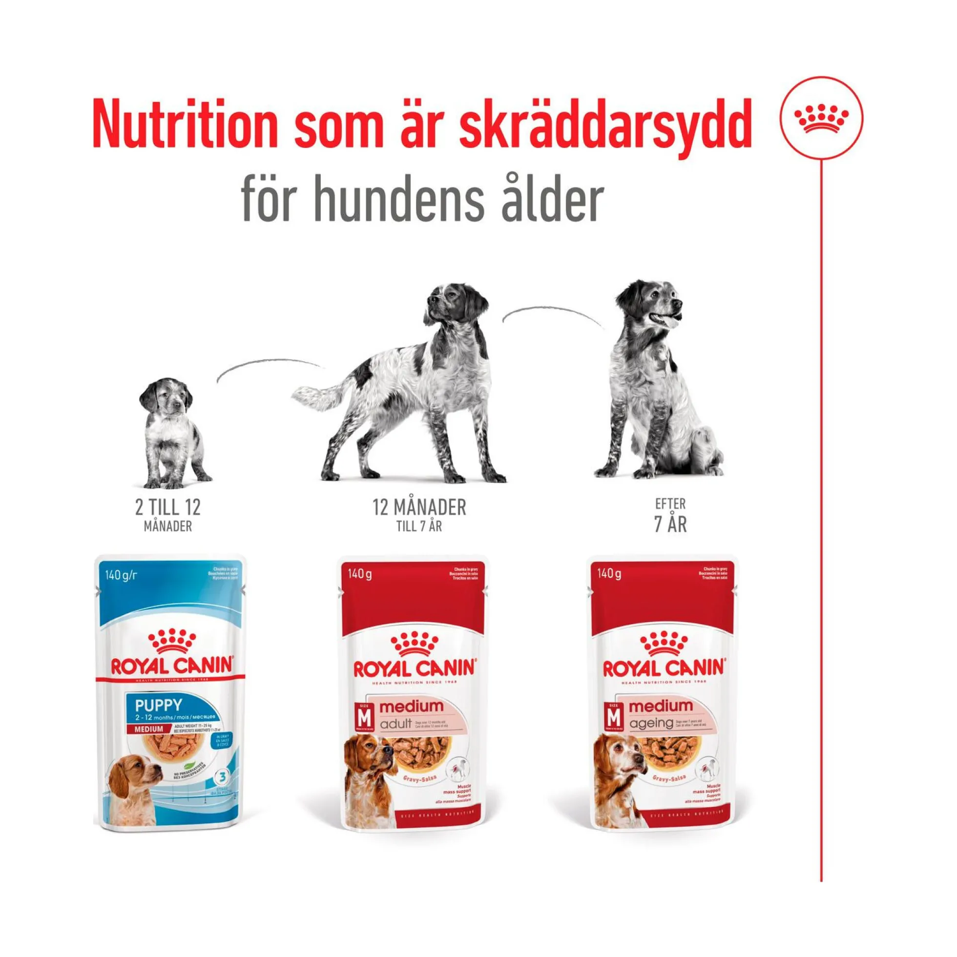 Royal Canin Medium Adult Wet