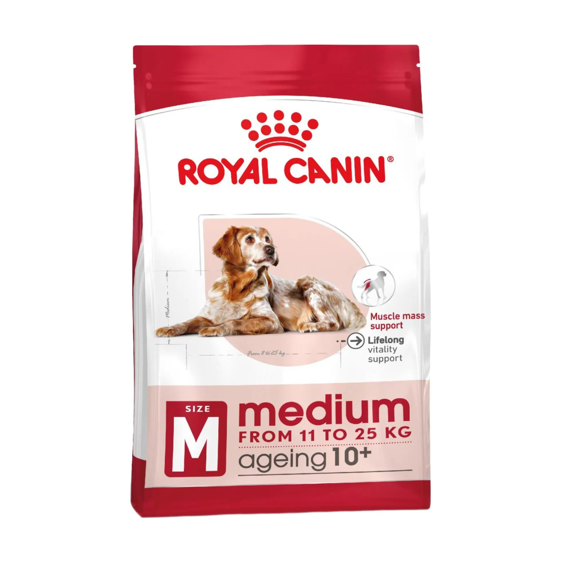 Royal Canin Medium Ageing 10+
