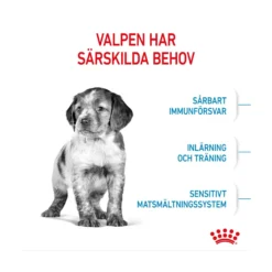 Royal Canin Medium Puppy