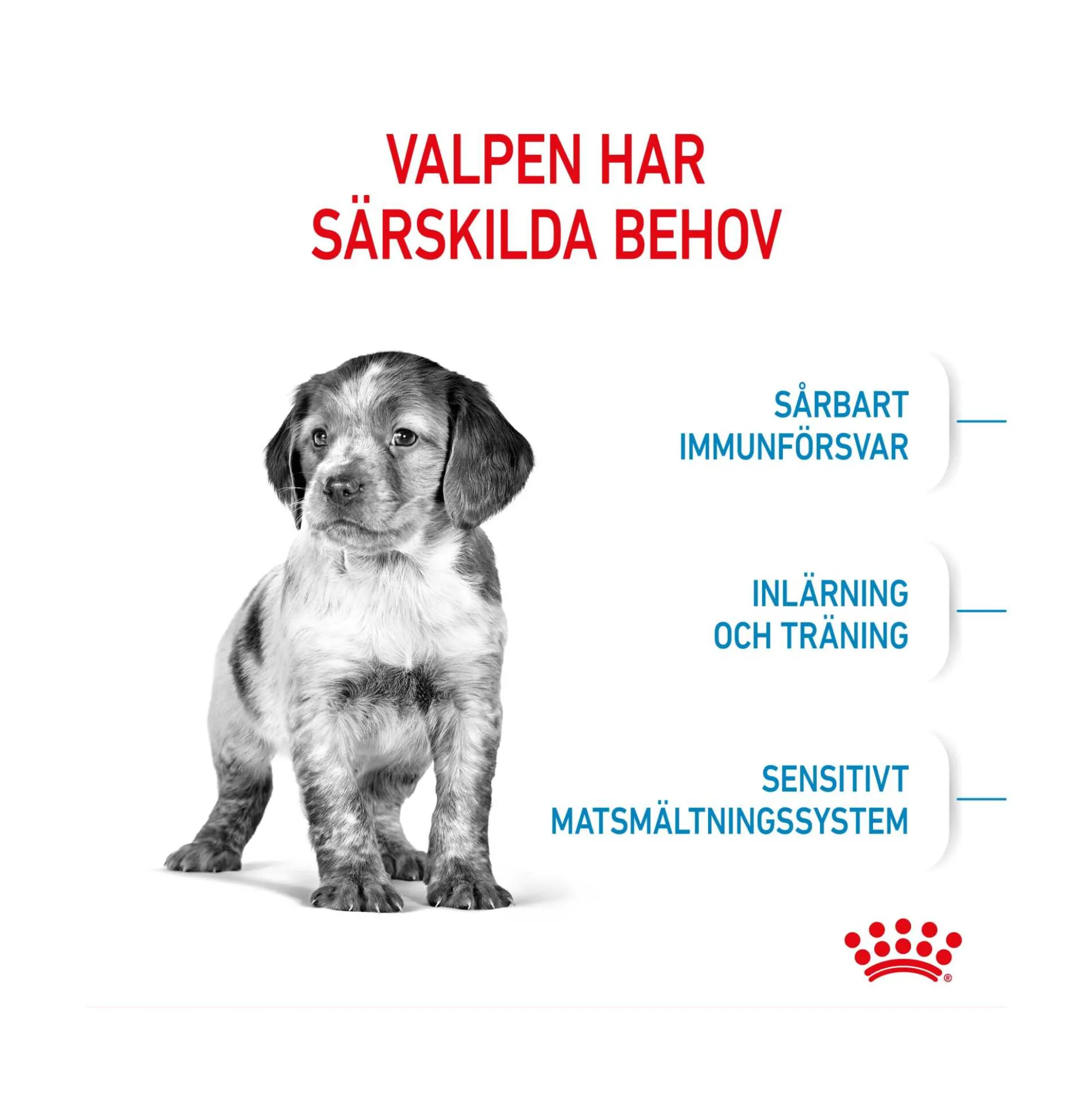 Royal Canin Medium Puppy