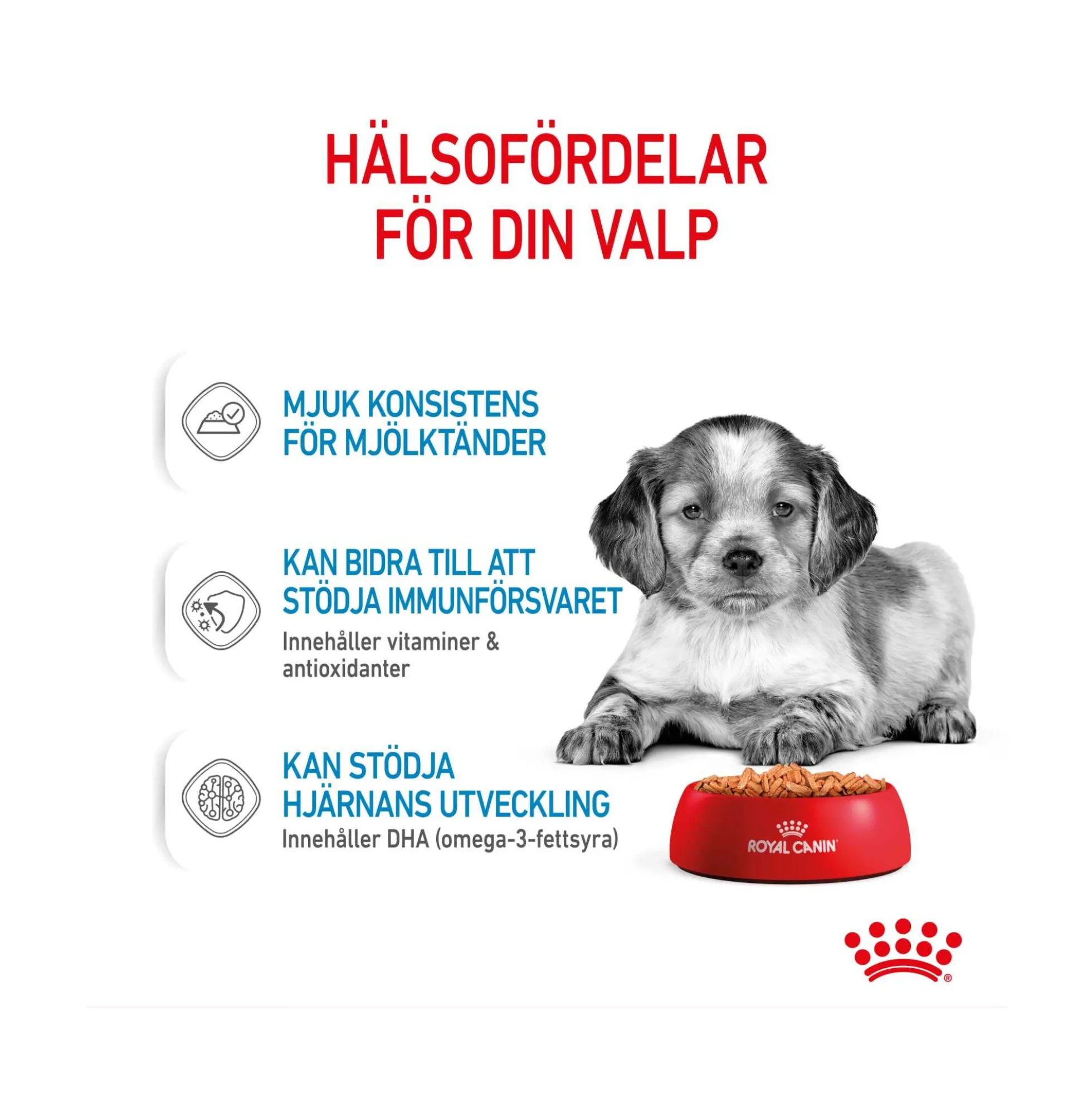 Royal Canin Medium Puppy Wet
