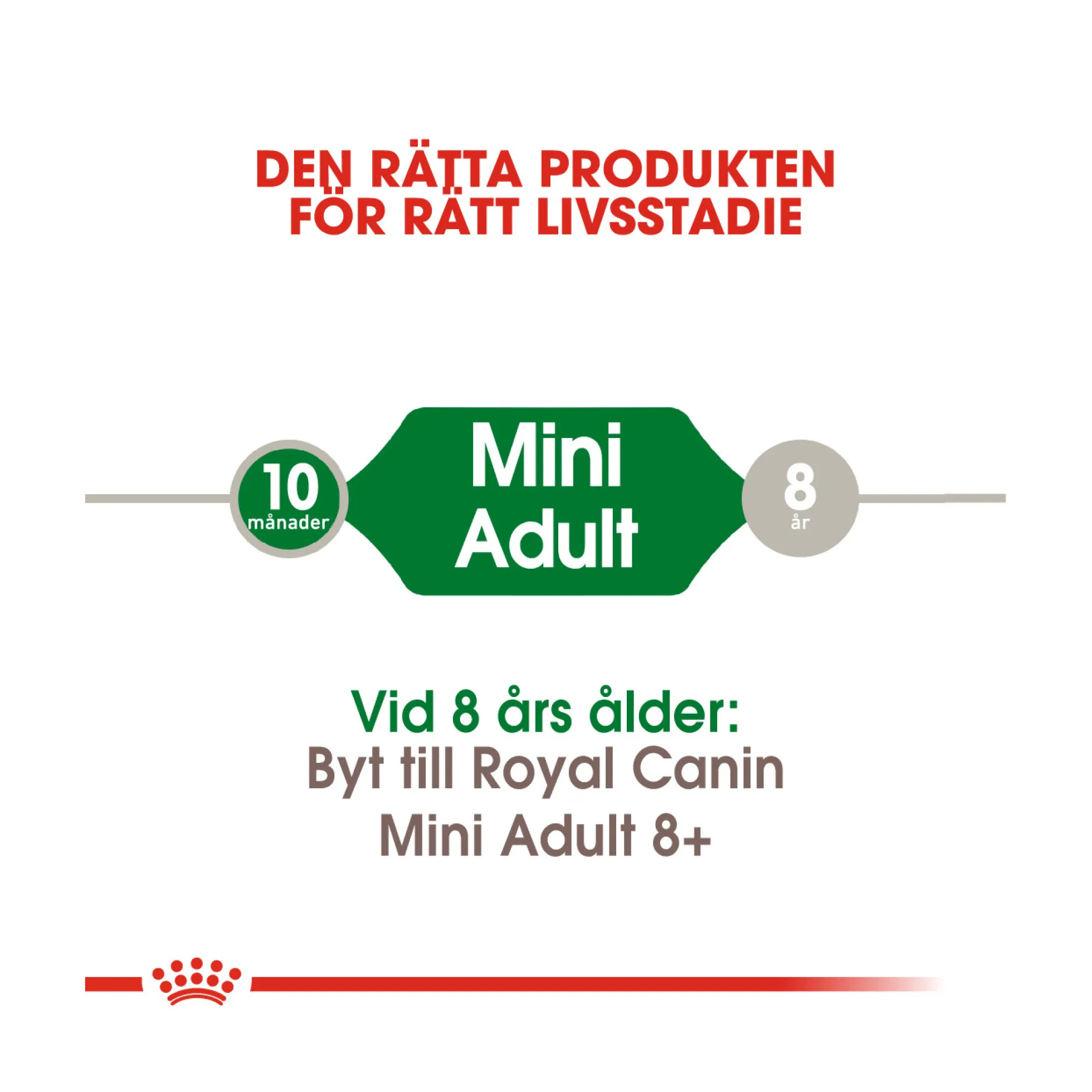 Royal Canin Mini Adult