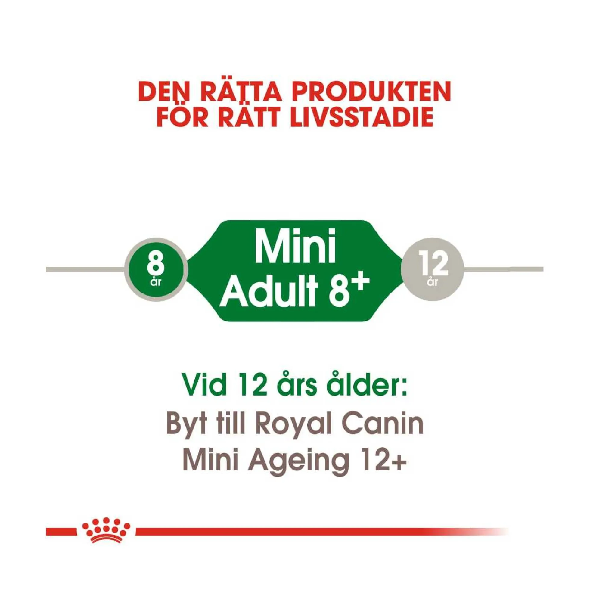 Royal Canin Mini Adult 8+