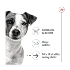 Royal Canin Mini Ageing 8+ Wet