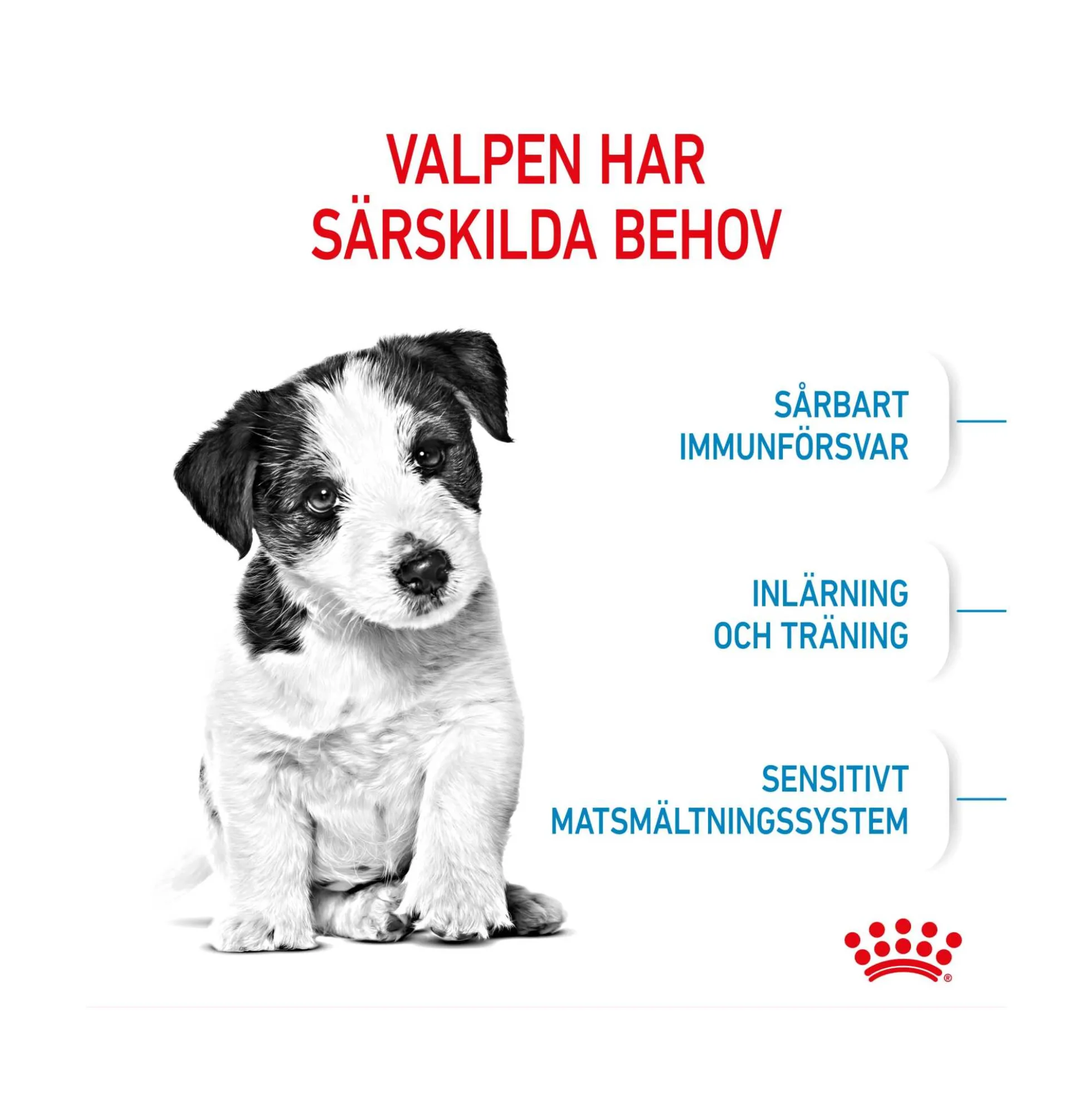 Royal Canin Mini Puppy