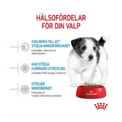 Royal Canin Mini Puppy
