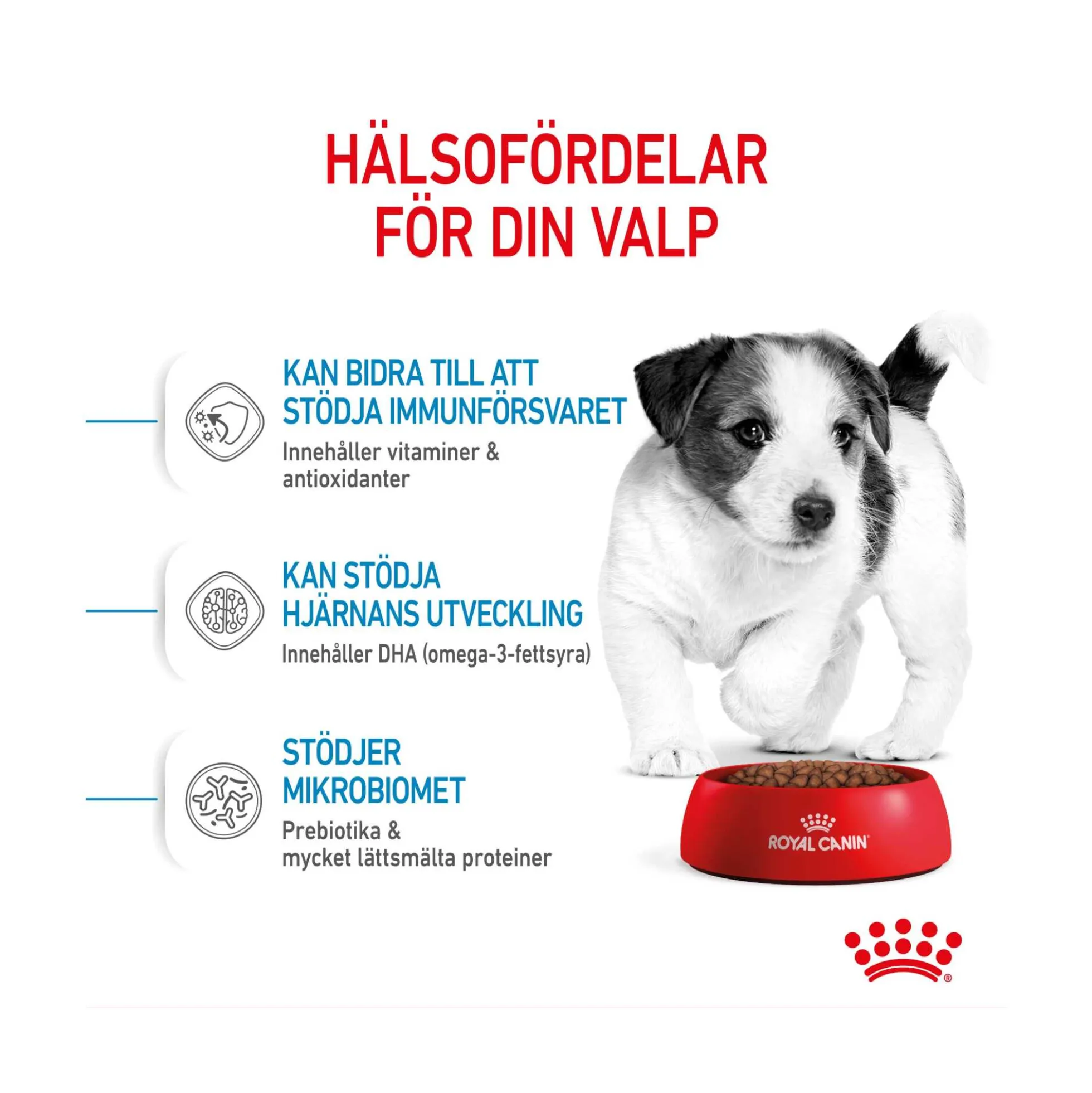 Royal Canin Mini Puppy