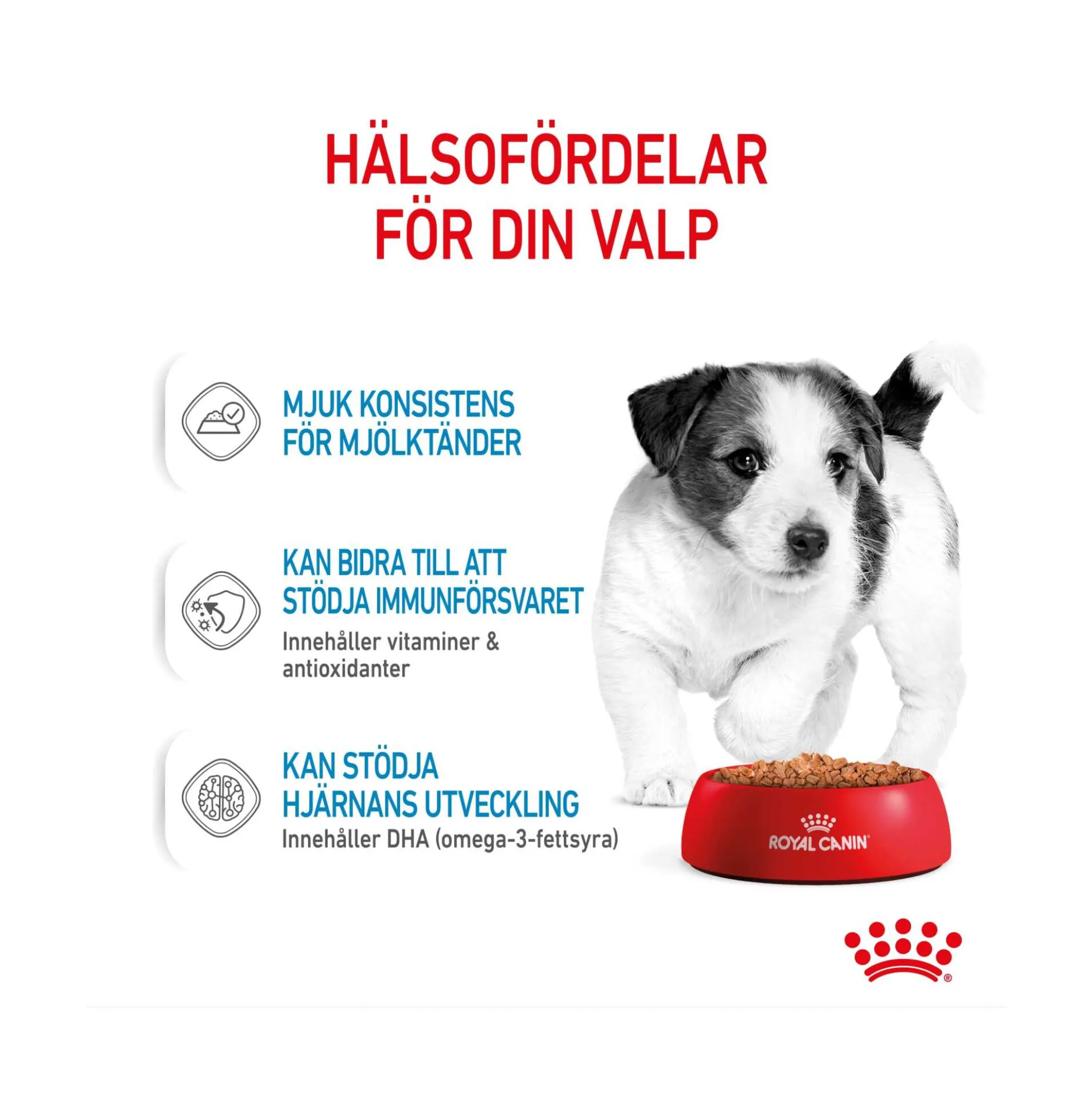 Royal Canin Mini Puppy Wet
