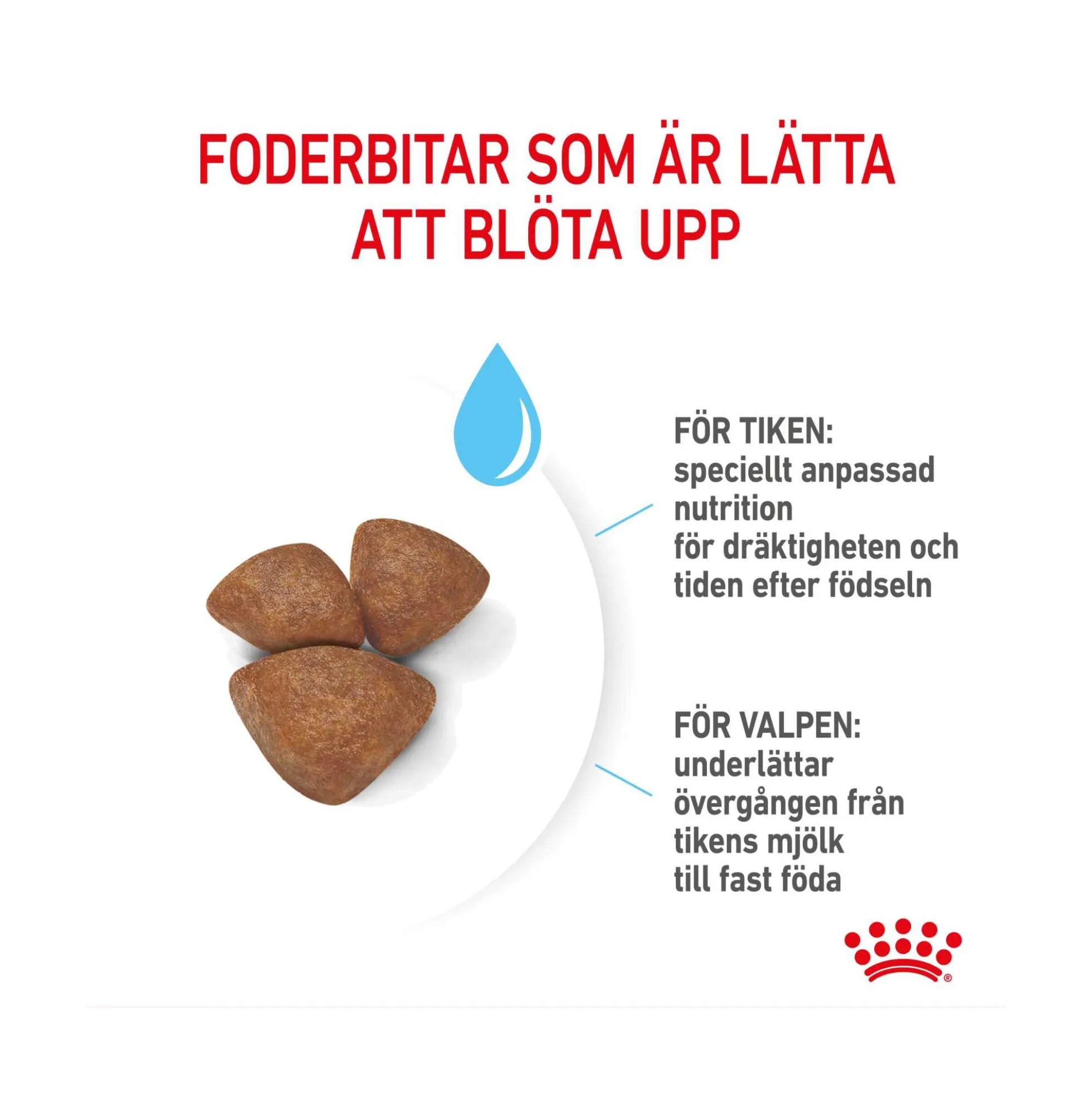 Royal Canin Mini Starter Mother & Babydog