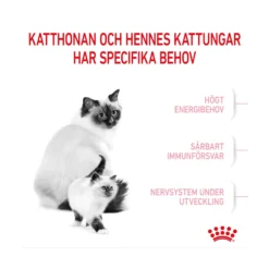 Royal Canin Mother & Babycat