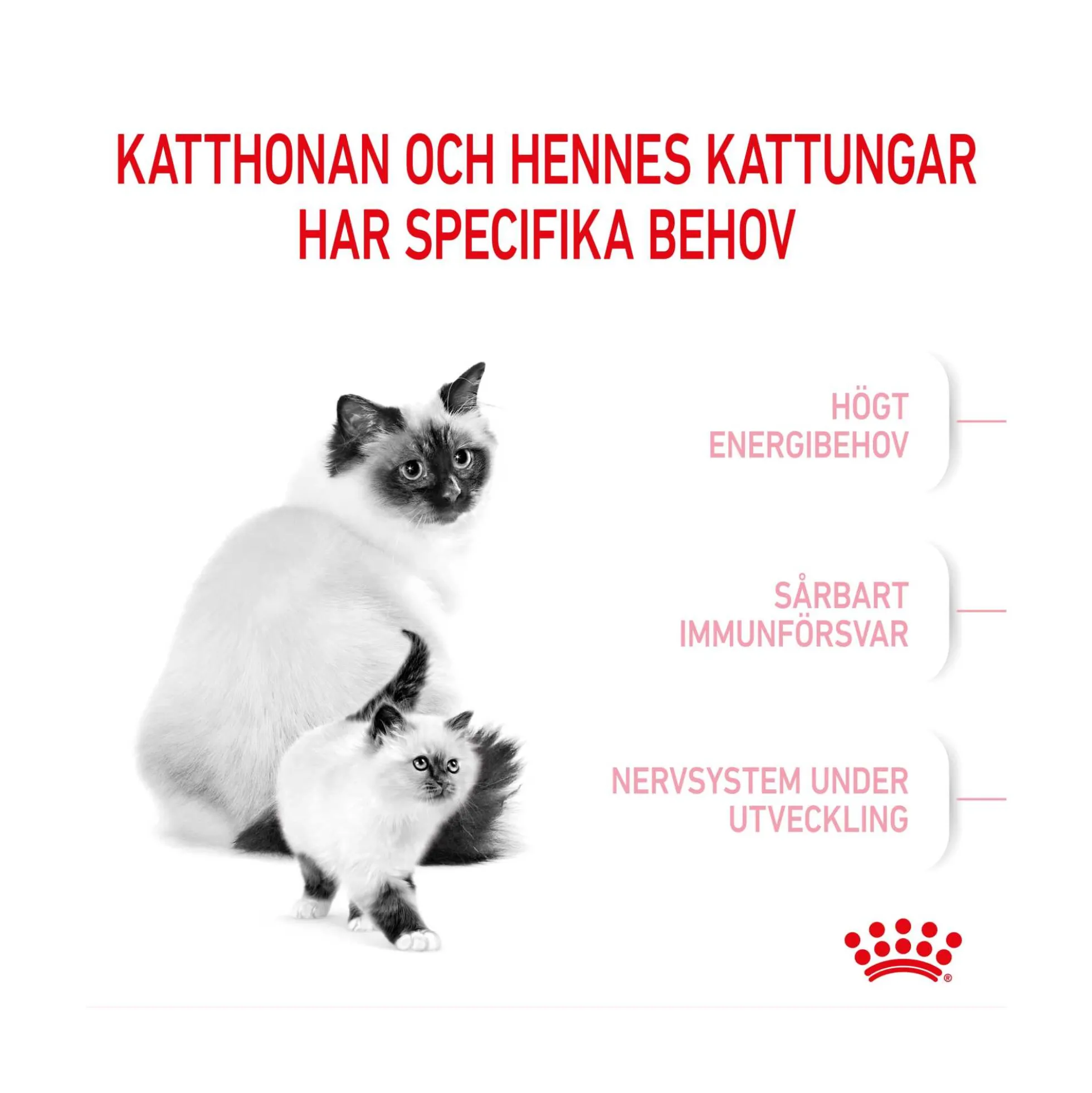 Royal Canin Mother & Babycat