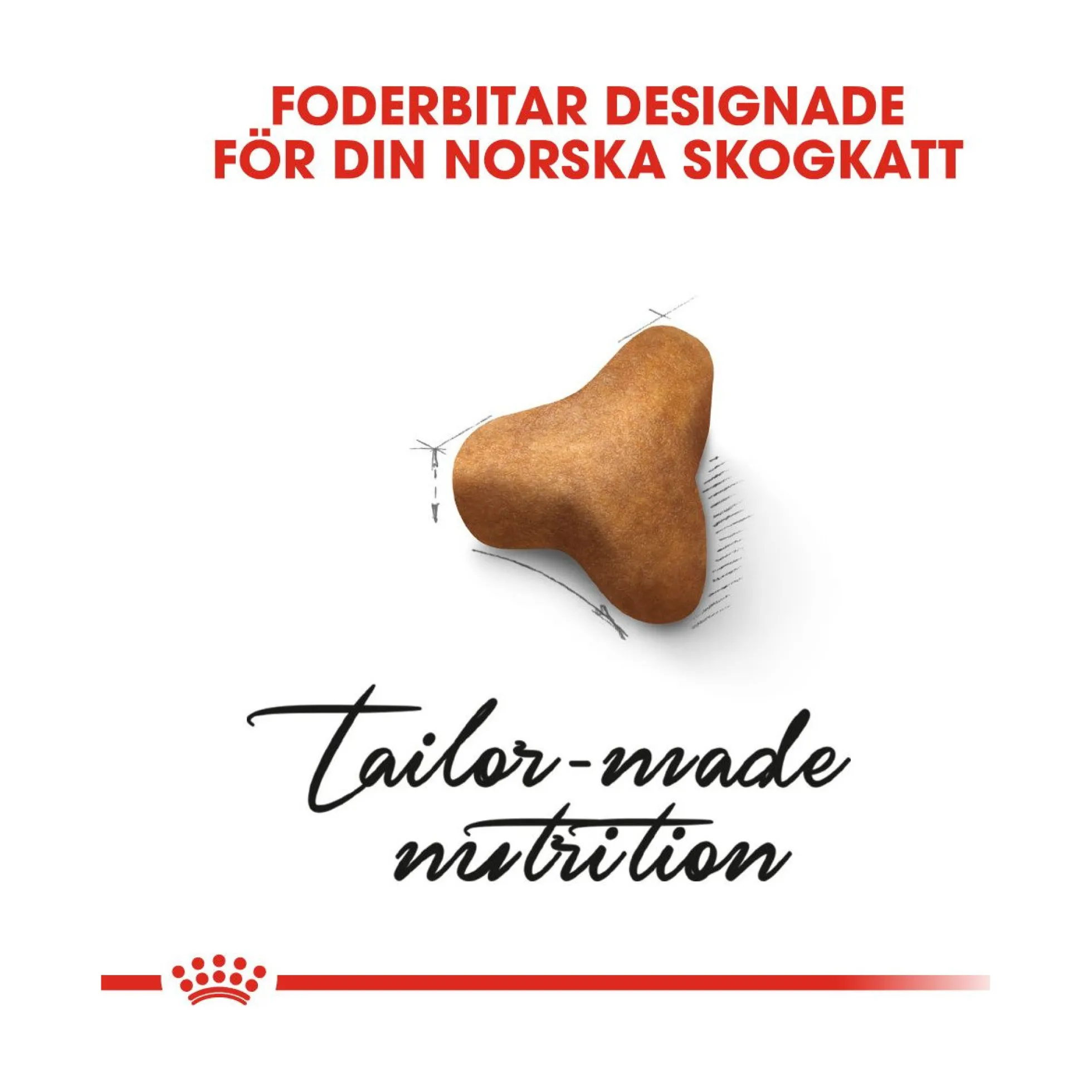 Royal Canin Norsk Skogkatt