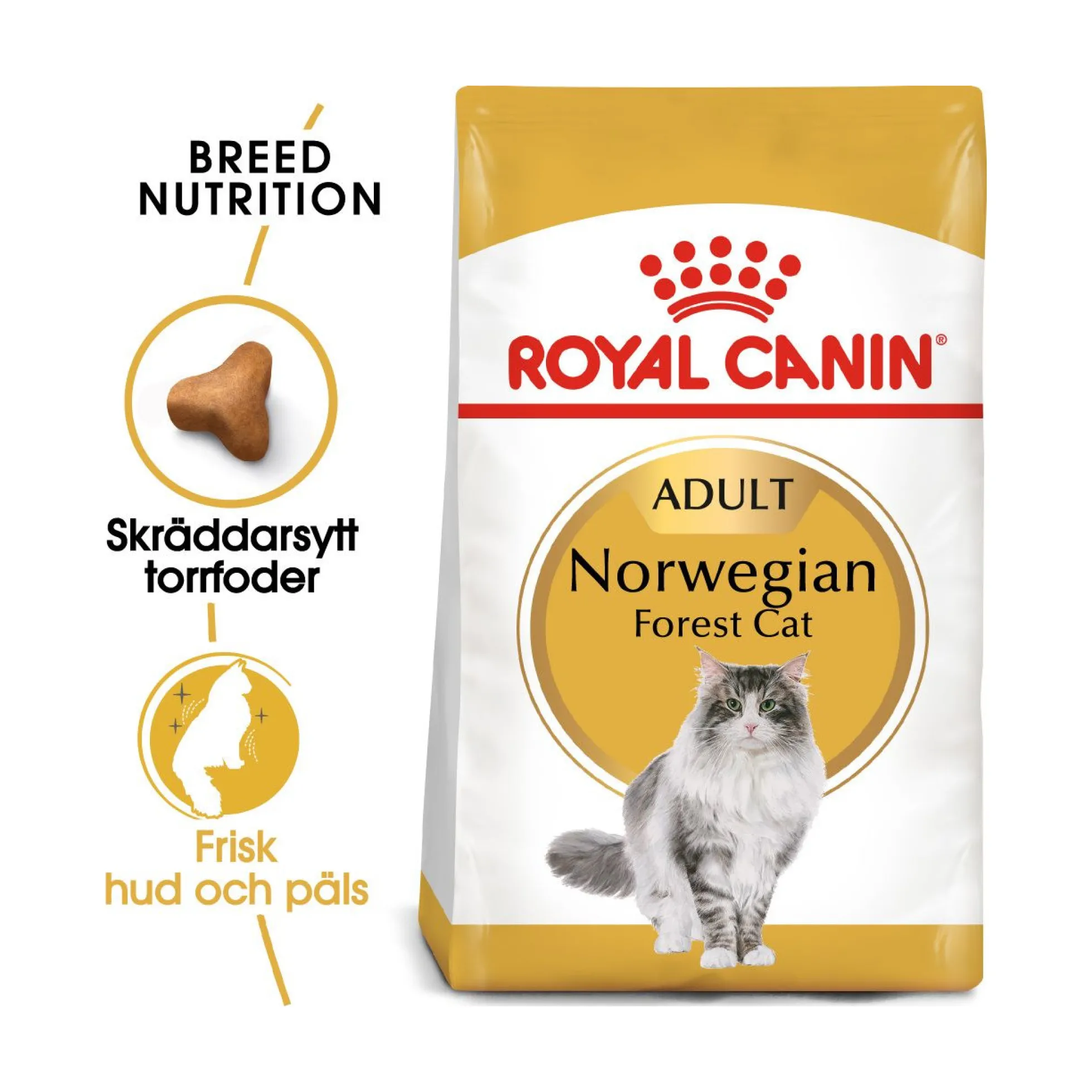 Royal Canin Norsk Skogkatt