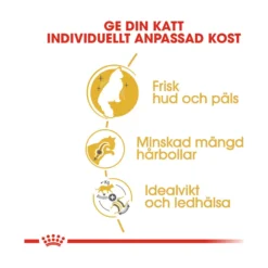 Royal Canin Norsk Skogkatt
