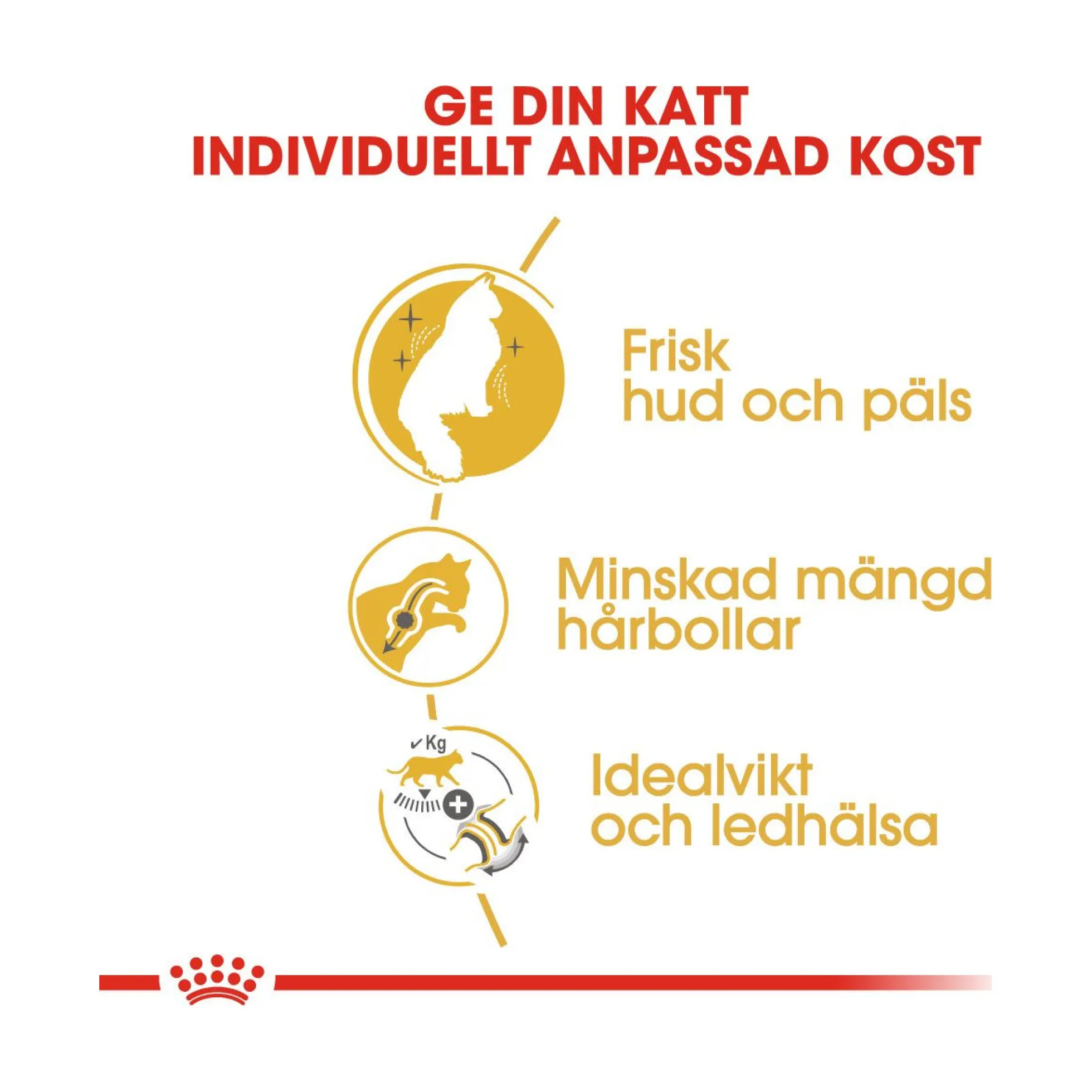 Royal Canin Norsk Skogkatt