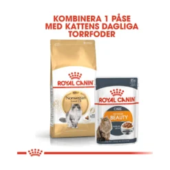 Royal Canin Norsk Skogkatt