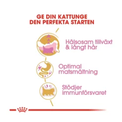 Royal Canin Persian Kitten