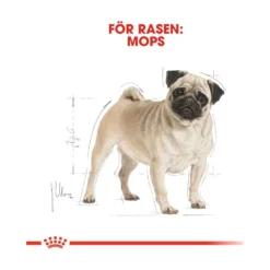 Royal Canin Pug Adult