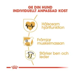 Royal Canin Rottweiler Adult