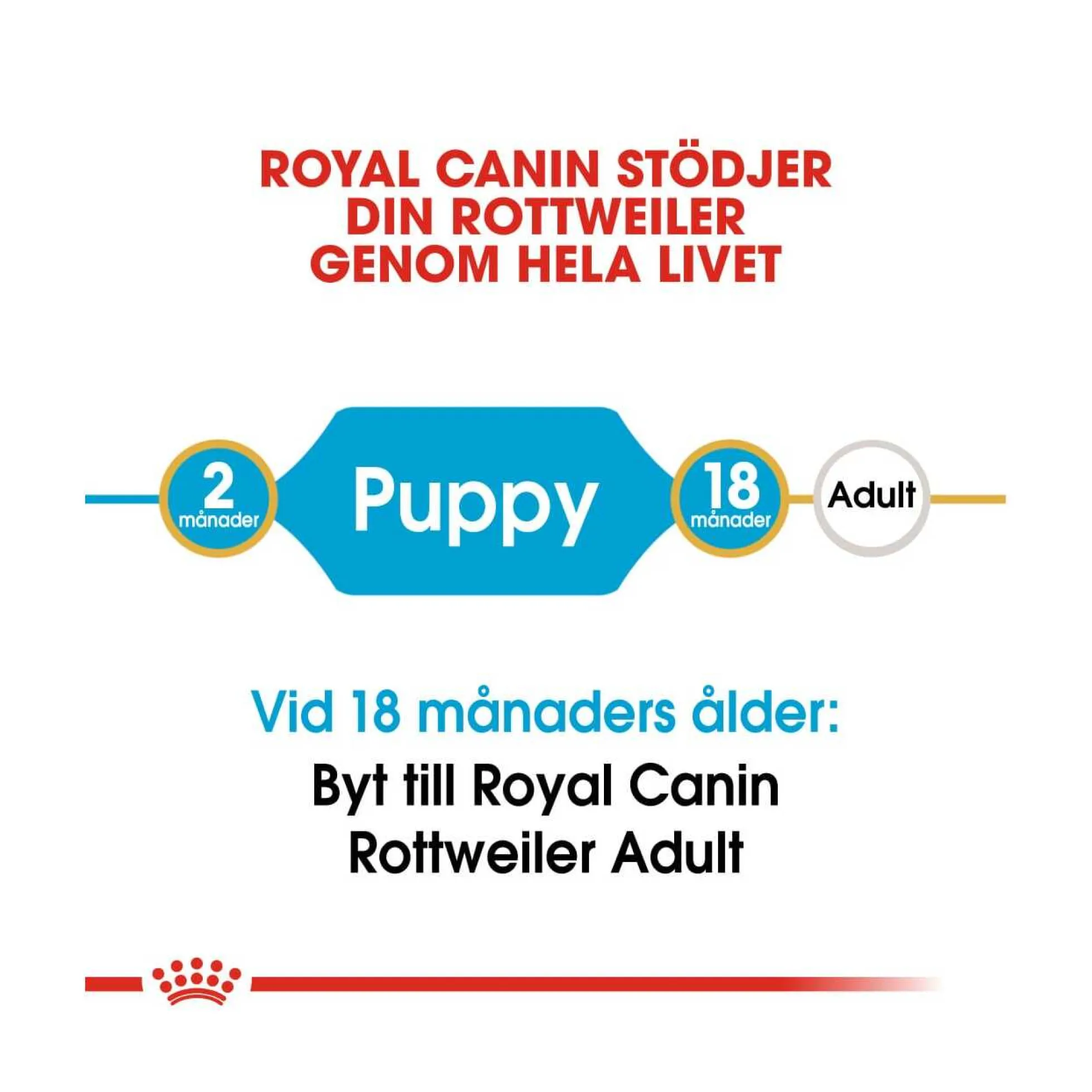 Royal Canin Rottweiler Puppy