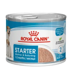 Royal Canin Starter Mother & Babydog Mousse