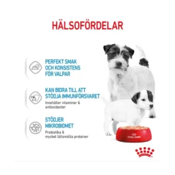 Royal Canin Starter Mother & Babydog Mousse