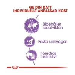 Royal Canin Sterilised Jelly